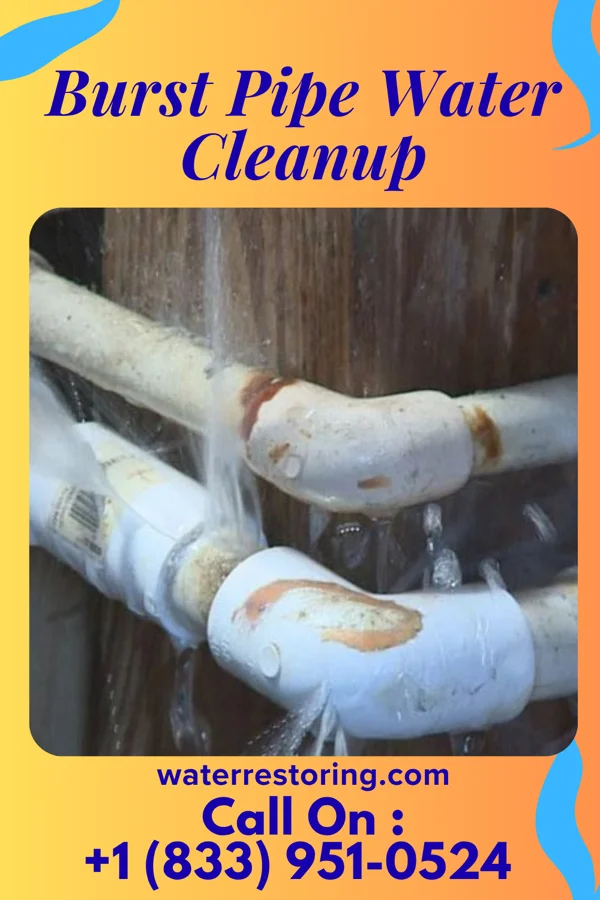 Burst Pipe Water Cleanup in Lisbon, ND