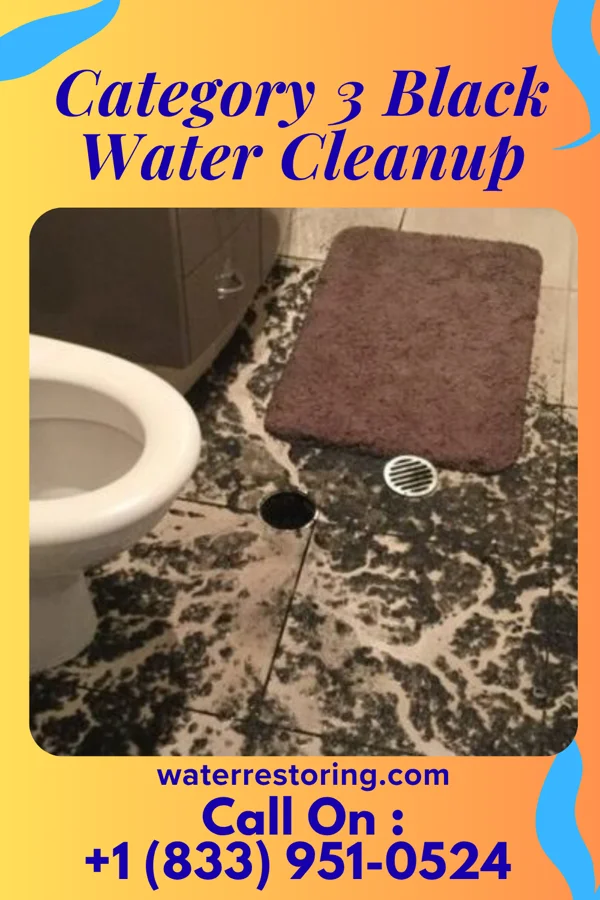 Category 3 Black Water Cleanup in Lisbon, ND