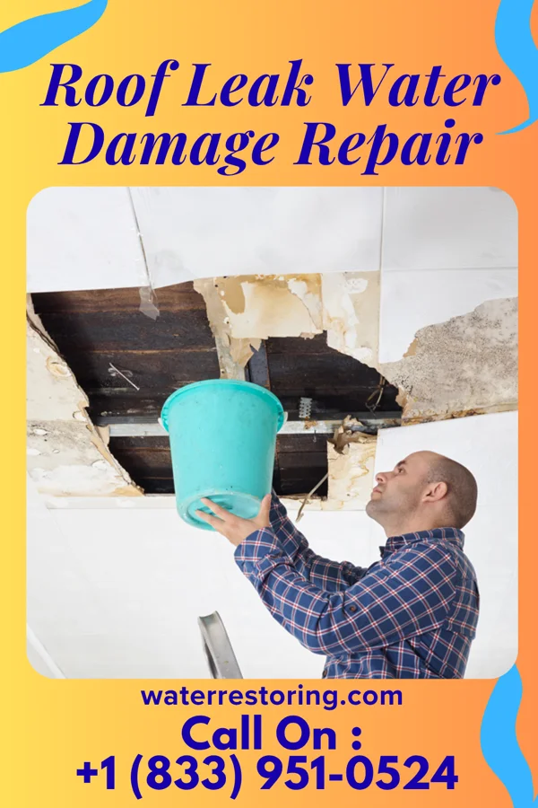 Roof Leak Water Damage Repair in Lisbon, ND